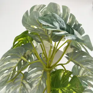 Wholesale 29CM 22Cluster Artificial Fissures White Turtle Leaf With Pot Wall Hang Plants Cheap Price Good Quality For Decoration