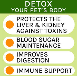 Etichetta personalizzata 60ML naturale latte cardo liquido integratore per cani promuove fegato sano cognitivo Pet cura della salute degli animali domestici integratore - Product Image 3