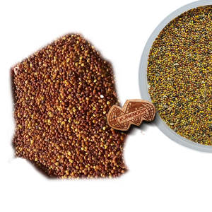 Trébol persa | Material de pasto verde | Suministro de cultivos orgánicos - Product Image 6