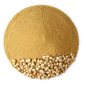 Poudre de coriandre fraîchement moulue, épices naturelles et essentielles saines pour des repas savoureux - Product Image 2