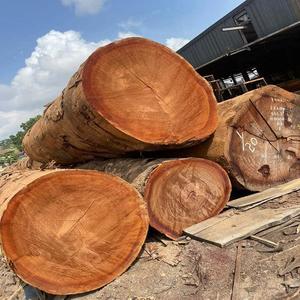 Bûches de bois, bois de teck, bûches de bois de chêne disponibles - Product Image 1