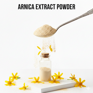 Poudre d'extrait d'arnica conçue pour l'innovation en matière de soins de la peau et le développement de produits cosmétiques - Product Image 1