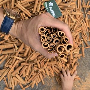 แท่งอบเชยแบบพรีเมียม/ซิการ์จากเยนไบซื้อเครื่องเทศสมุนไพรแห้งโรงงานเวียดนาม-ติดต่อนายเฮนรี่ + 84 368591192 - Product Image 1