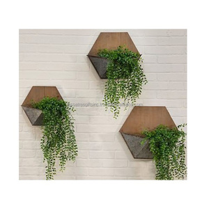 Maceta de alambre de metal hecha a mano montada en la pared con revestimiento de polvo negro acabado forma triangular diseño único para decoración de jardín - Product Image 5