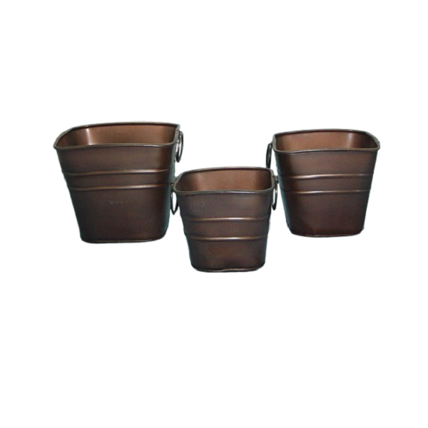 แสดงภาพ