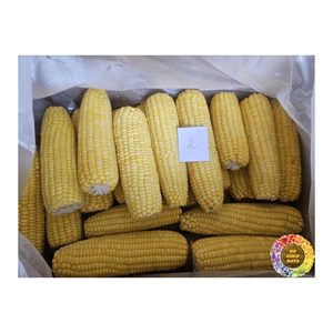 Granos de maíz blanco amarillo congelado IQF envasados a granel para procesamiento de alimentos dulzura garantizada suministro al por mayor de alta calidad - Product Image 1