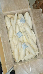 100% hueso de sepia seca natural comida para pájaros de la mejor calidad hecha en Vietnam a precio barato para exportación - Product Image 6