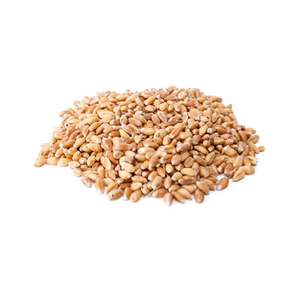 กลูเตนจากข้าวสาลีที่สำคัญแบบแห้งสำหรับใช้เป็นอาหาร - Product Image 3