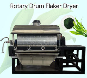 Secador rascador de doble tambor para procesamiento de alimentos Equipo de secado continuo cerrado de almidón de polvo de nieve de levadura de avena - Product Image 6