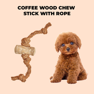 Viet Nam café bois bâtons à mâcher 100 pièces quantité minimale de commande café bois et noix de coco corde canne à sucre bâtons avec corde dans l'emballage en Carton - Product Image 6