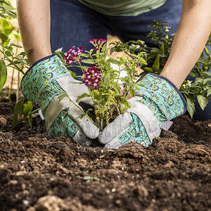 Guantes DE TRABAJO multiusos Guantes de trabajo de cuero hechos en Pakistán Guantes de trabajo de la mejor calidad - Product Image 5