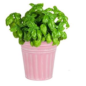 Vase à fleurs de table galvanisé moyen, design côtier, pots de plantes avec de belles couleurs et décorations de Nouvel An en relief - Product Image 1