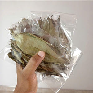 Exportador líder de Hojas de Guanábana seca de Vietnam socio con un proveedor experimentado y de buena reputación producto auténtico - Product Image 1