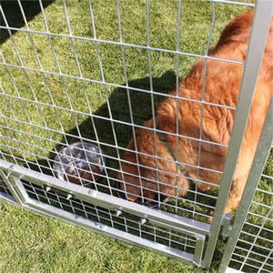 Kandang Anjing PRO Ukuran 4' X 8' X4, Rumah Anjing Logam dengan Tipe Penutup Tombol - Product Image 5