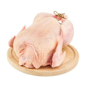 Pollo Entero Congelado Halal Procesado Industrialmente, Sacrificado Según las Normas Islámicas, Limpio y Congelado para su Conservación - Product Image 5