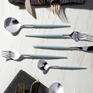 Ensemble de couverts en argent simple avec poignée en résine bleue Couverts élégants pour la table de cuisine à manger de tous les jours et les fêtes d'Inde - Product Image 3