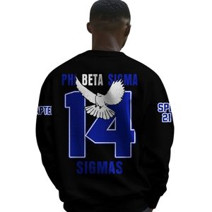 Phi Beta Sigma 1914 pull en tricot acrylique grec bleu blanc Chenille Sigma Beta lettres de fraternité pull vêtements - Product Image 6