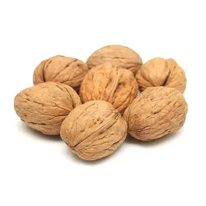 Quality Whole Walnuts In Shell All Natural From Uzbekistan Worldwide Shipping Raw Almonds