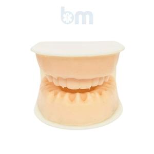 Modèle de suture dentaire en silicone orthodontique de haute qualité pour la mâchoire inférieure Barishan Medical 747400081C43, instrument à alimentation manuelle - Product Image 2