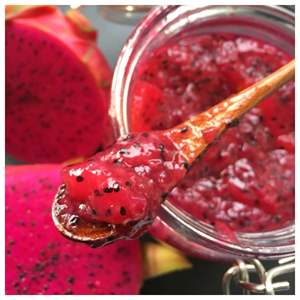 Puré de fruta de dragón orgánico/rico en antioxidantes/hecho en Vietnam - Product Image 2