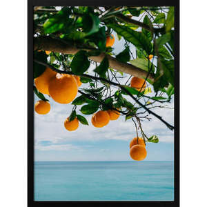 Impression sur toile style design côtier, Oranges de la côte d'Amalfi IV - Product Image 5