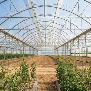 Serre professionnelle à simple travée pour la culture de légumes avec structure en acier galvanisé à chaud et film PO protégé contre les UV - Product Image 2
