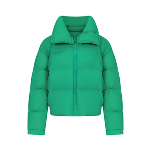 Chaqueta Acolchada Elegante para Mujer, Cuello Alto, Verde, Cierre Frontal, Impermeable, de Lona Tejida, Bordada, para Otoño e Invierno - Product Image 1