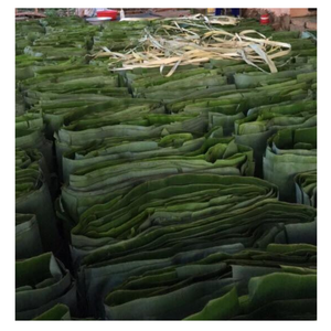 ใบตองสดที่เป็นมิตรกับสิ่งแวดล้อมจากเวียดนามทันสมัยสำหรับห่ออาหารใบตองใช้งานง่ายเป็นธรรมชาติสำหรับการเสิร์ฟอาหารที่ทันสมัย - Product Image 6