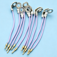 Fil de terre pour résonateur de type E EB6540, 10 pièces, pièces de rechange pour imprimante M CIJ, compatible avec l'encre à solvant, garantie 1 an
