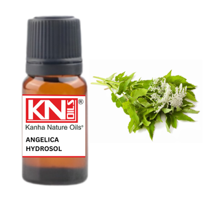 Angelica น้ำมันหอมระเหยแท้ผู้ผลิตอินเดียไฮโดรโซลน้ำมันหอมระเหยบริสุทธิ์สำหรับดูแลเส้นผมรากขายส่ง - Product Image 1