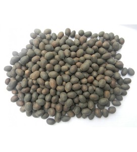 Noix de lotus congelée savoureuse naturelle de haute qualité dans un sac sous vide - Product Image 1