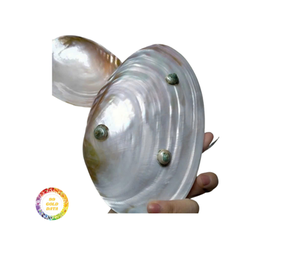 Placa de nácar pulida, placa de nácar de concha marina Natural, placa de concha de perla para vajilla elegante - Product Image 5