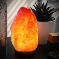 Lampe de sel de l'Himalaya naturelle sculptée avec base en bois, style amour, décoration d'intérieur, veilleuse rose, toucher réel, certifiée ISO 9001