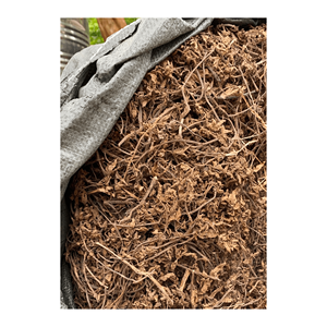 Feuilles de gelée d'herbe noire de haute qualité/herbe de gelée séchée entière pour l'exportation avec le meilleur prix du Vietnam - Product Image 1