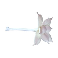 Meilleure vente 4.5cm & 8cm bois Sola fleurs différentes formes décorations pour la maison en différentes couleurs pas cher prix de gros
