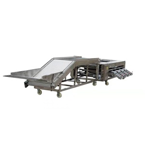 High Capacity Orange and Citrus Sorting Machine, Rotary Drum Grader for Farm - Product Image 2