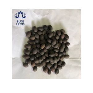Semillas de loto negro sin procesar, semillas de flor de loto negra de alta calidad - Product Image 3