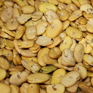 Frijoles enteros secos y divididos al por mayor, habas, alimentos demandados en el mundo, precio competitivo - Product Image 6