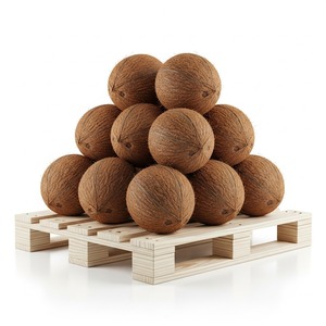 Noix de coco fraîches de qualité supérieure de Trusted Farms, idéales pour l'industrie alimentaire, l'huile d'eau de noix de coco et les applications de cuisson - Product Image 6