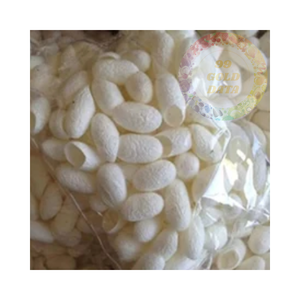 Capullos de seda cruda de Vietnam: alta calidad, precios bajos - Product Image 1