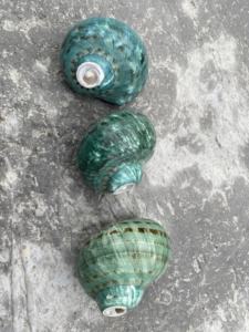 Vente en gros de coquillages décoratifs pour l'artisanat, les mariages à la plage, l'aquarium et l'aquarium à usage domestique, formes et tailles assorties - Product Image 3