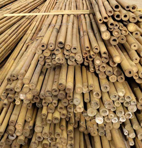 Poteaux de clôture en bambou de haute qualité du Vietnam soutien solide pour les clôtures de construction et de construction agricoles à bas prix - Product Image 1