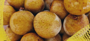 Proveedores de longan dulce sin semillas, congelador, bajo precio - Product Image 5