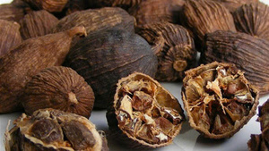 Grande quantité de cardamome séchée de haute qualité du Vietnam produit agricole - Product Image 4