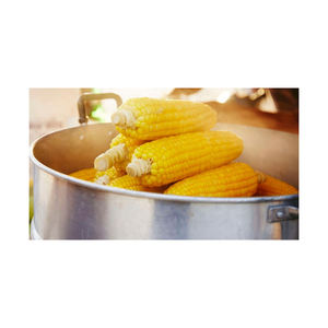 Nueva cosecha de maíz dulce canadiense, maíz amarillo a muy buenos precios, maíz amarillo orgánico fresco, maíz dulce crudo de alta calidad de Canadá - Product Image 6