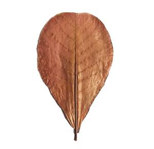 100% feuilles d'amandier séchées naturelles et écologiques 21-25cm 10 par sac 8.26-9.8 pouces Aquarium Pets Plastic Material 100% Pet - Product Image 4