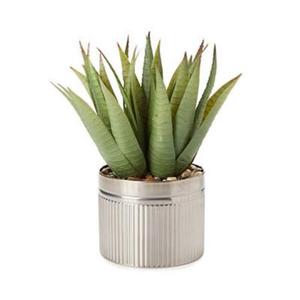 Jardinière galvanisée de qualité supérieure avec un design antique rustique pour les jardins de luxe forme et taille personnalisées - Product Image 5