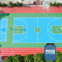 Primaire d'asphalte gris Visport Guangdong pour terrains sportifs, résine acrylique liquide, durée de vie de 5 ans, prix usine, MOQ 200KG