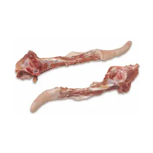 Queue de porc/pieds de porto/viande de porc congelée en vente en gros Viande de porc congelée Halal Paquet standard compétitif Queue de porc congelée