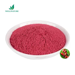 Natural Miracle Berry Extract Fruit Powder Mysterious Fruit Miraculin Powder